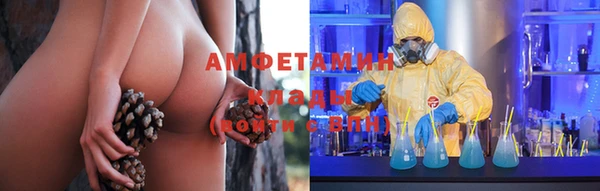 прущие грибы Пересвет