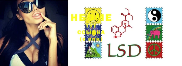 прущие грибы Пересвет